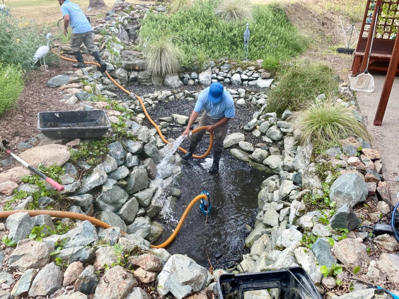 Pond Maintenance Camino