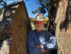 Verne Pershing, The Art of Gardening, Landscape Contractor El Dorado County