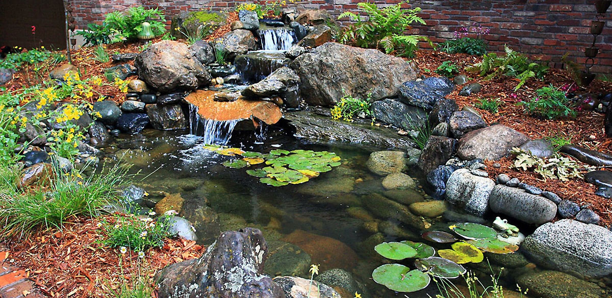 Aquascape Ecosystem Pond Rescue