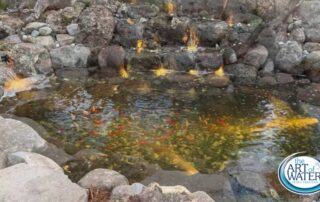 Becher Pond, 2025 - Water Features in El Dorado County