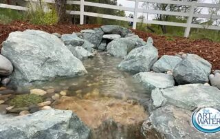 Marchant Pondless Waterfall, 2025