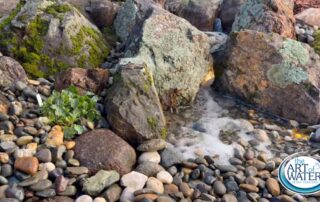 Pondless Waterfall in Cool, California