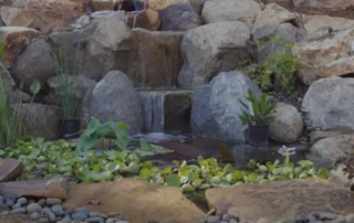 20' Waterfall at The Meadow Garden Center