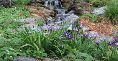 About the Art of Water