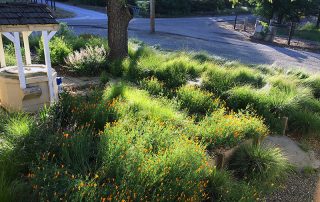 Contact - Verne Pershing - NorCalPonds.com (2)