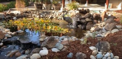 Pond Design in Camino CA