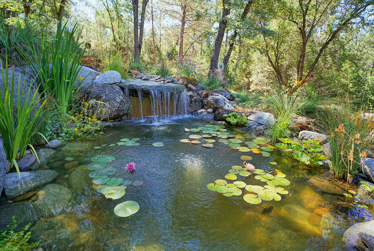 Pond Design and Construction - Northern CA