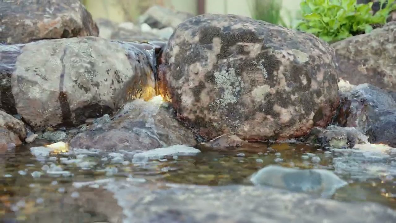 youtube placeholder image