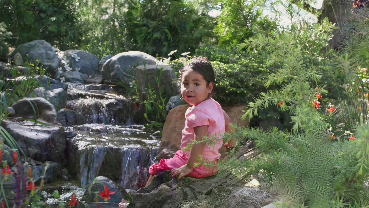 youtube placeholder image