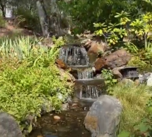 Pondless Waterfall in Placerville