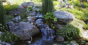 Waterfall Pond Design in Camino CA