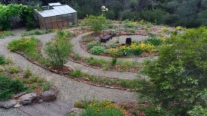 A Spiral Garden in Placerville, CA