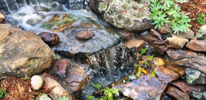 Waterfall Landscape Project in El Dorado County CA